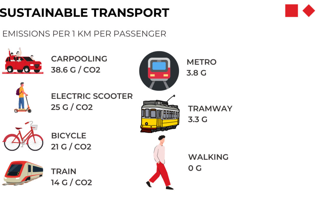 Greener Cities: How Real-Time Data Powers Sustainable Transportation